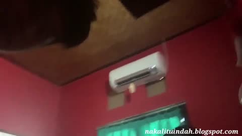 Sama emak kandung