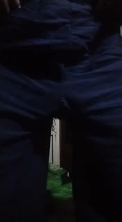 愚