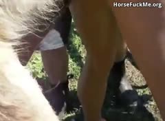 Dibobol Kuda Poni.mp4