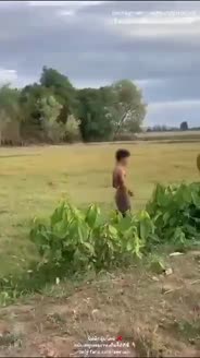 Viral Cewe Bule Dengan Orang Lokal Di Lapangan